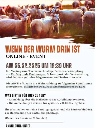 Gesundheit Schafe
